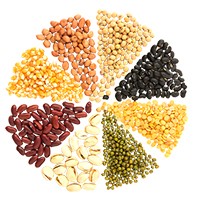 Pulses (Dal)